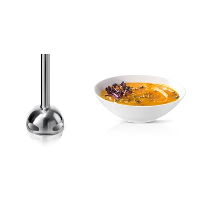 Bosch MS6CB61V1 licuadora 0,6 L Batidora de inmersión 1000 W Antracita, Negro