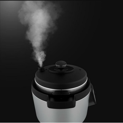 Cecotec Olla GM H Ovall 8 L 1000 W Negro, Acero inoxidable