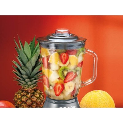Palson Copacabana 1,5 L Batidora de vaso 600 W Metálico