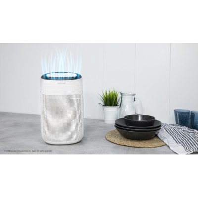 Cecotec Big Dry 2500 Pure Light 1 L 45 W Blanco