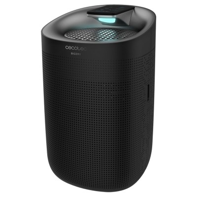 Cecotec 05615 deshumidificador 1 L 45 W Negro