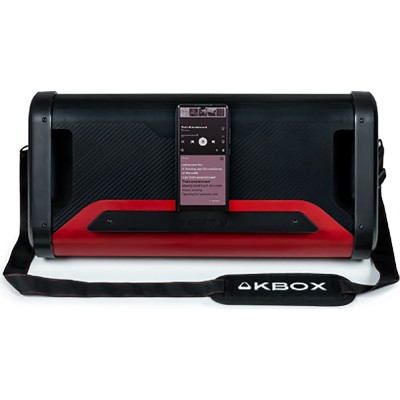 PARTY Light & Sound PARTYBTIPKBOX altavoz portátil o de fiesta Negro